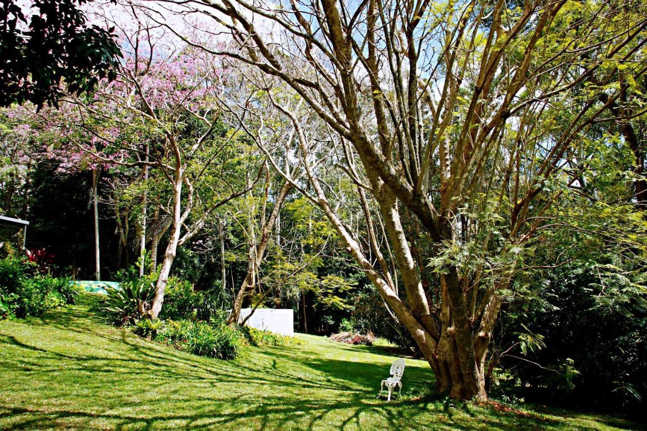 Maleny Monet Studio エクステリア 写真
